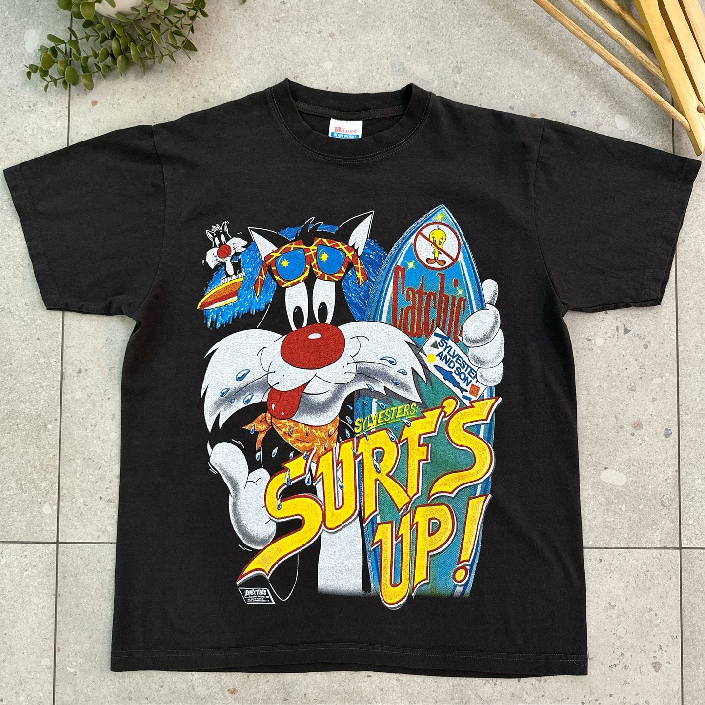 Silverster ( Surf’s Up!)