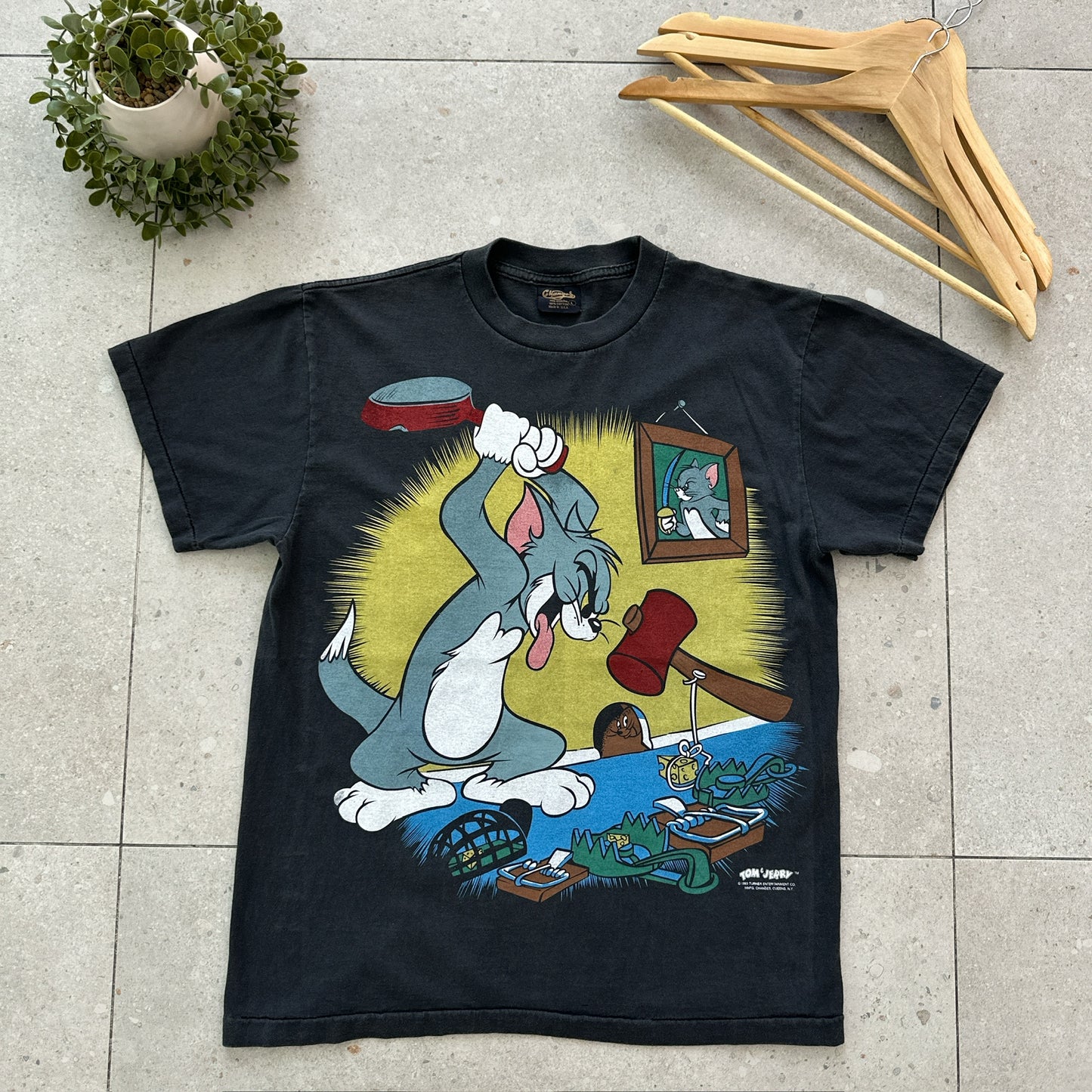 Tom and Jerry (1993)