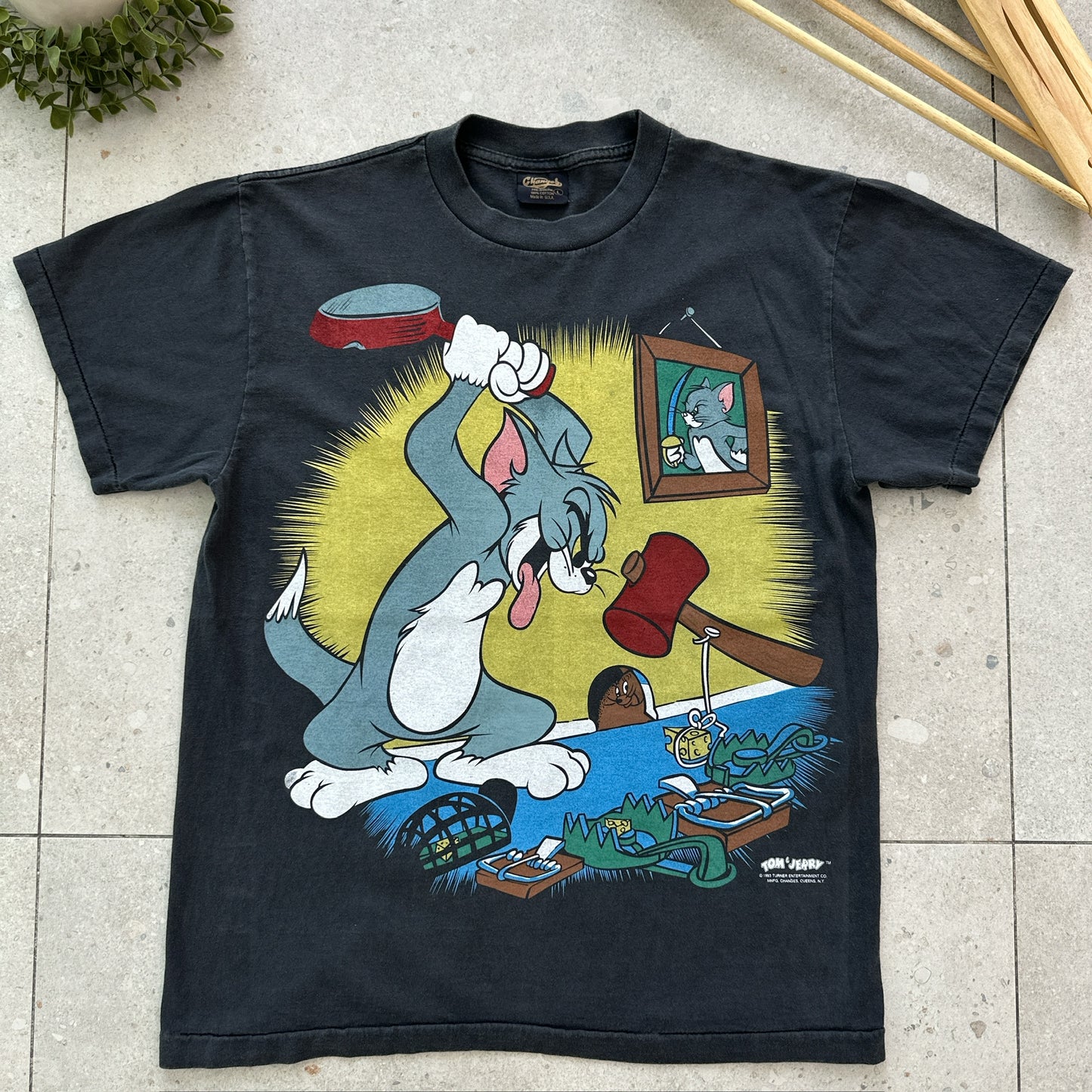 Tom and Jerry (1993)