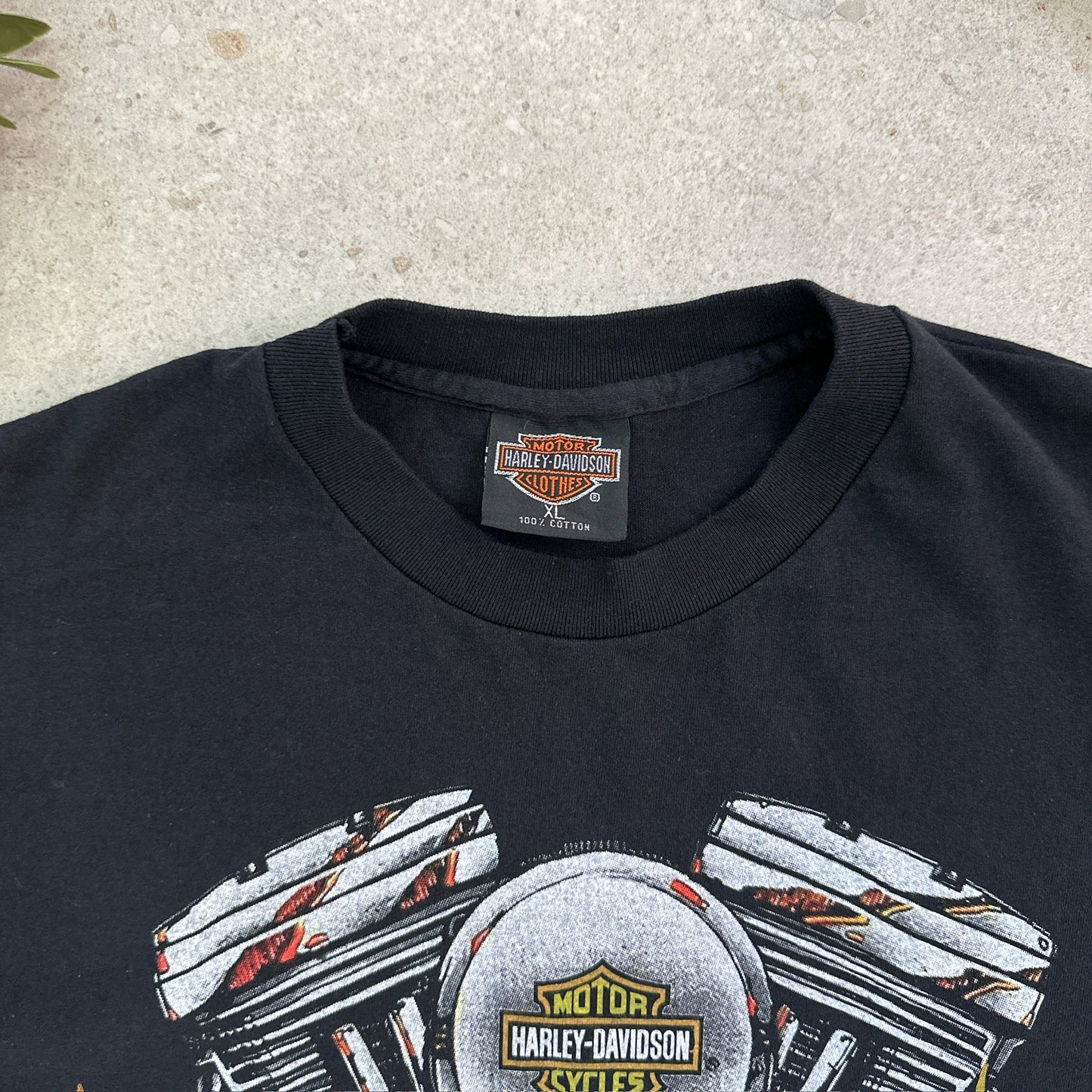 Harley-Davidson V-Twin Engine Flames Tee