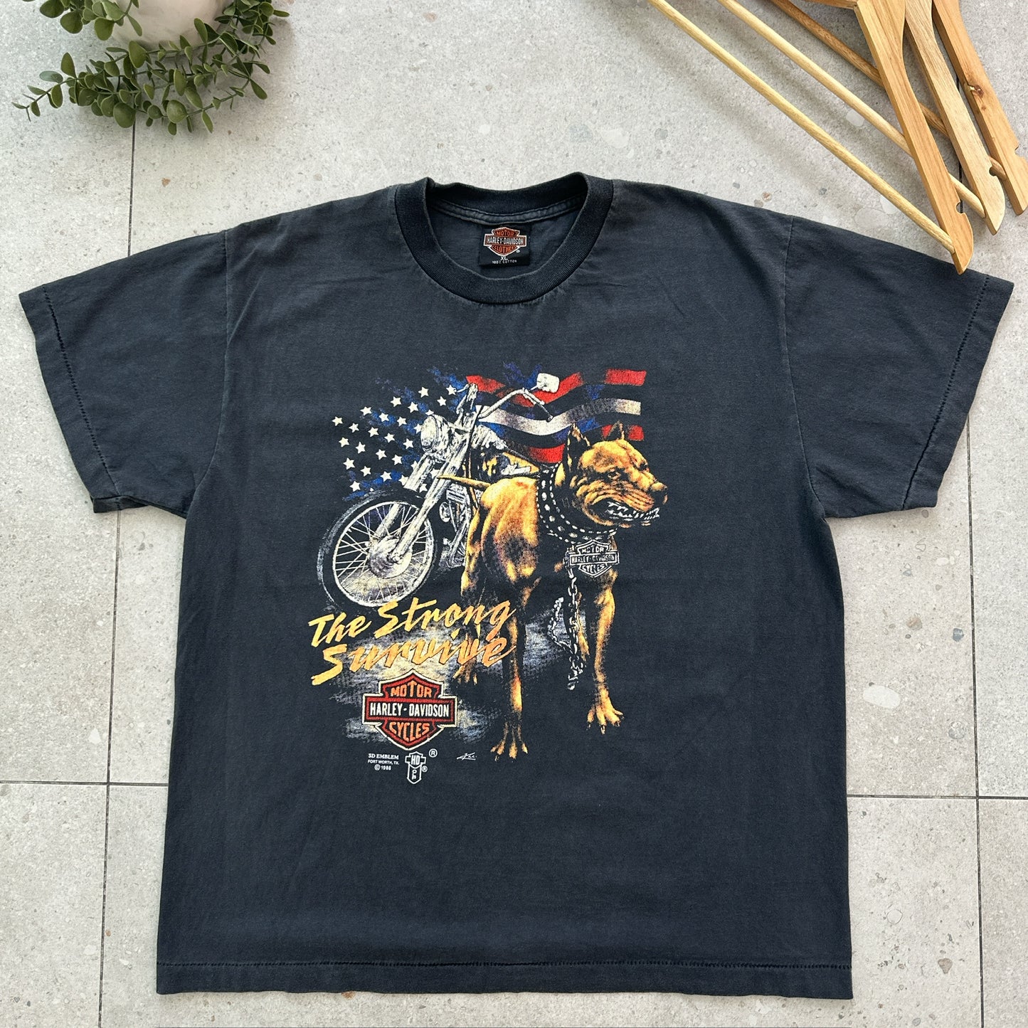 Harley-Davidson (Pitbull 1988)