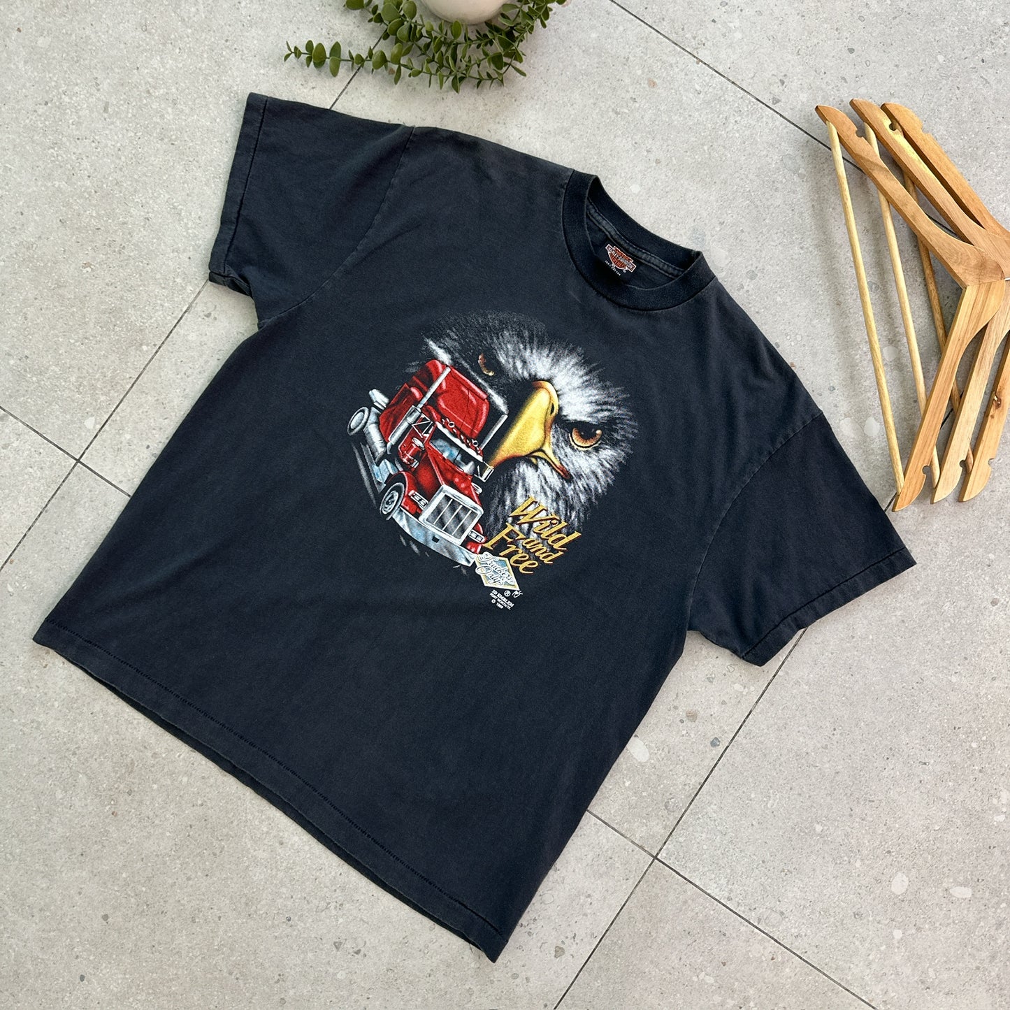 Harley-Davidson (Wild and free)