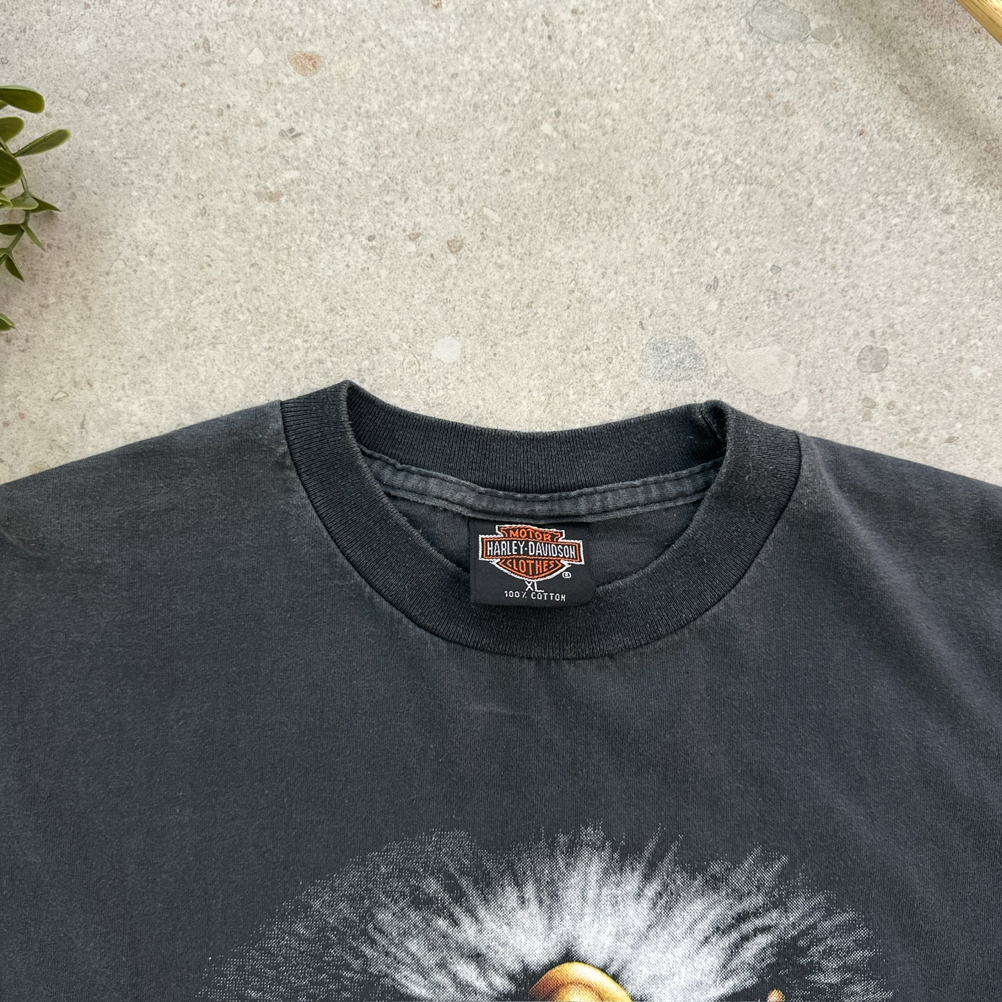 Harley-Davidson (Wild and free)