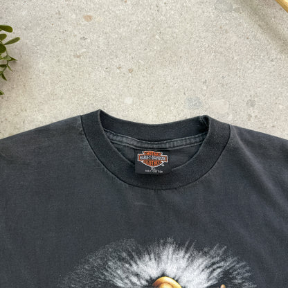 Harley-Davidson (Wild and free)